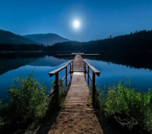 Paint by Number - Moonlit Bridge