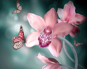 Paint by Number - Pink Butterfly