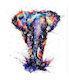 Paint by Number - Rainbow Elephant