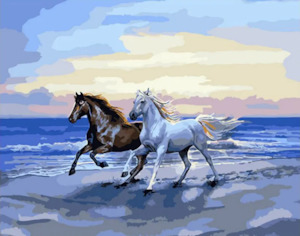 Paint by Number - Seaside Ride