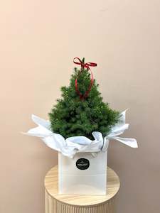 Christmas 2024: Mini Xmas Tree