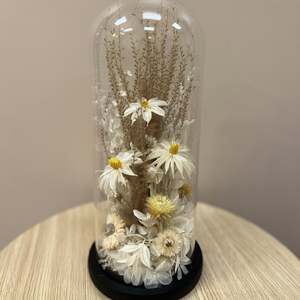 Dried Flowers: Creamy Neutral Floral Dome - Large