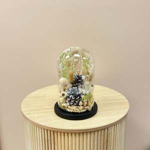 Christmas: Snowy Pine Dried Christmas Dome