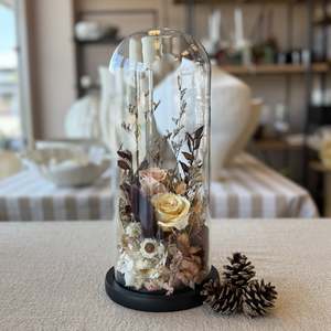 Blossom & Honey Dried Floral Dome