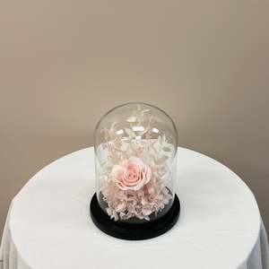 Blush Dome