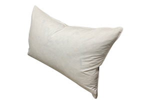 Homeware Cushions: Duck Down Cushion Inner - 40x60