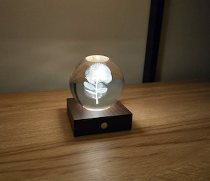 Homeware Lighting: Pōhutukawa - 3D Laser Engraved LED Light