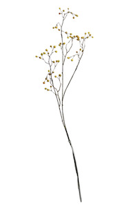 Homeware Faux Plants: Long Berry Branch Green/Brown