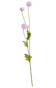 Pompom Spray x4 - Lilac