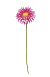 Homeware Faux Plants: Single Mini Gerbera Pink