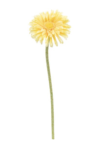Homeware Faux Plants: Single Mini Gerbera Yellow