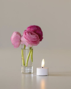 Homeware Seed Lights Led Candles: Tealight LED Candle - 6 Pack