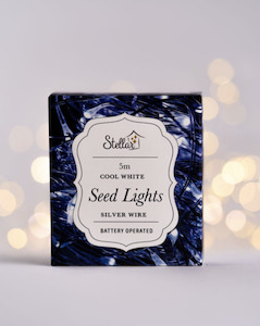 5m Battery Seed Lights - Silver Cool White