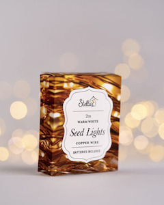 Homeware Seed Lights Led Candles: 2m Seed Lights - Copper Warm White