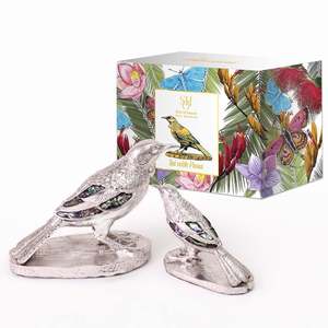 Silver Tui with Paua in Coloured Box - Large