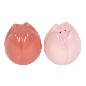 Gifts Gifts For Her: Tulip Salt & Pepper Set