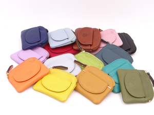 Handbags: C01 Satch Manage Me Coin Purse