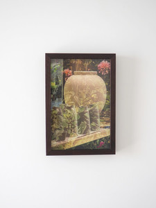 Familiar Haze morganmade