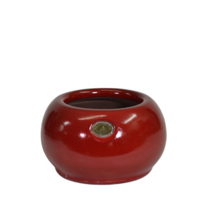 Puku Pot Hollyberry