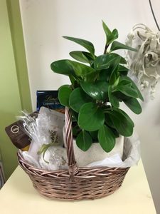 Green Goodness Gift Basket Moss & Co