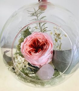 Preserved Rose Terrarium Moss & Co