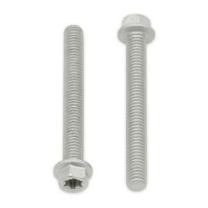 BOLT EURO TORX 6x20mm FLANGE BOLT (Pkt of 10)