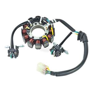 Electrics: Stator Coil 340-58165