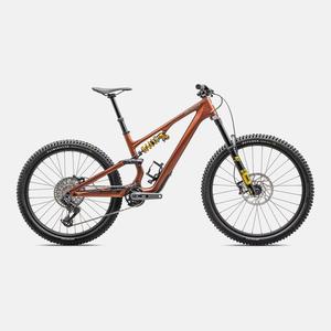 Mountain Bike: Stumpjumper 15 Öhlins Coil