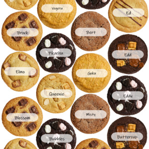 Best Sellers: Cookie for a Deserving Kiwi