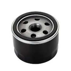 Oil Filter: Briggs Oil Filter