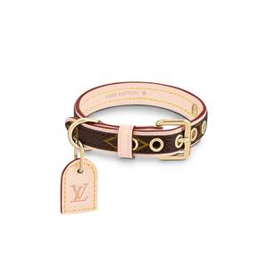 Louis Vuitton: Louis Vuitton Baxter Dog Collar Monogram Bow X Small Brown in Canvas with Gold-tone