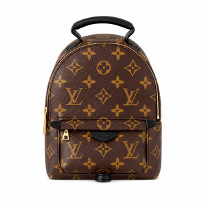 Louis Vuitton Palm Springs Mini backpack