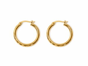 Earrings: 9ct Yellow Gold Hoops Diamond Cut Earring