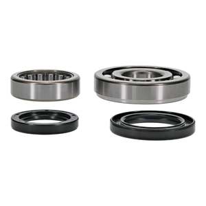 Main Bearing and Seal Kit