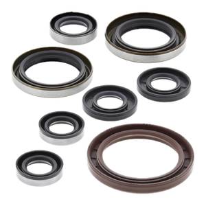 Vertex: Oil Seal Kit 822364