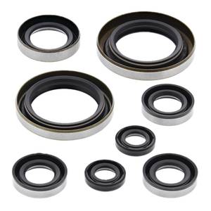Vertex: Oil Seal Kit 822274