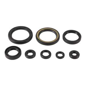 Vertex: Oil Seal Kit 822378