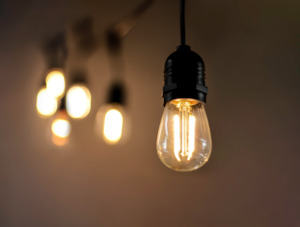 Festoon String Lights: Festoon String Lights with 2W LED Bulbs