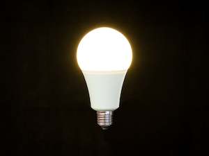 Lightbulbs: LED - A60 Frosted - 12W Bulb
