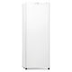 Upright Freezer 160L