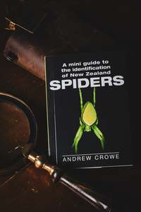 Nz History: Mini Guide to the Identification of New Zealand Spiders