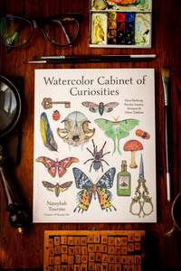 Arts Craft Entertainment: Watercolor Cabinet of Curiosities