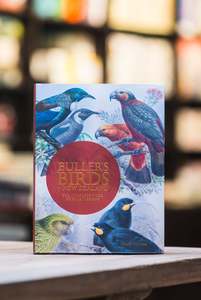 Birds: Bullers Birds of NZ