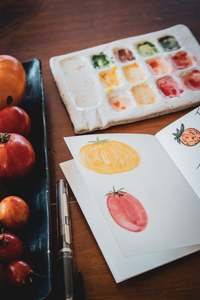 Art Supplies: 015 TRAVELER'S Watercolour Refill (Passport)