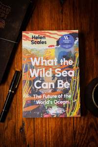 Science Math: What the Wild Sea Can Be