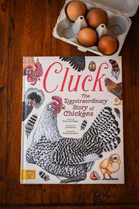 Cluck! The Eggstraordinary Story of Chickens