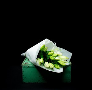 Products: Fragrant Lilies