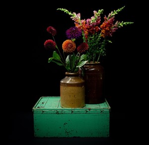 Products: Flower Subscription – The Gertrude Jekyll Selection