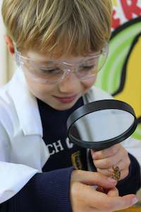 Products: School Visits, Classroom/PLD