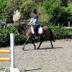 Products: Liberty Rose Nitro Equine